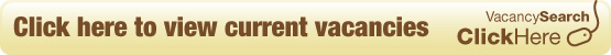 Vertu Careers Page Link Button