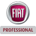 Fiat Professional Swindon