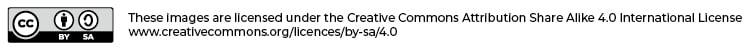 Image Licence