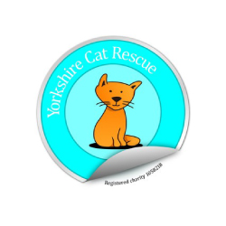 Yorkshire Cat Rescue