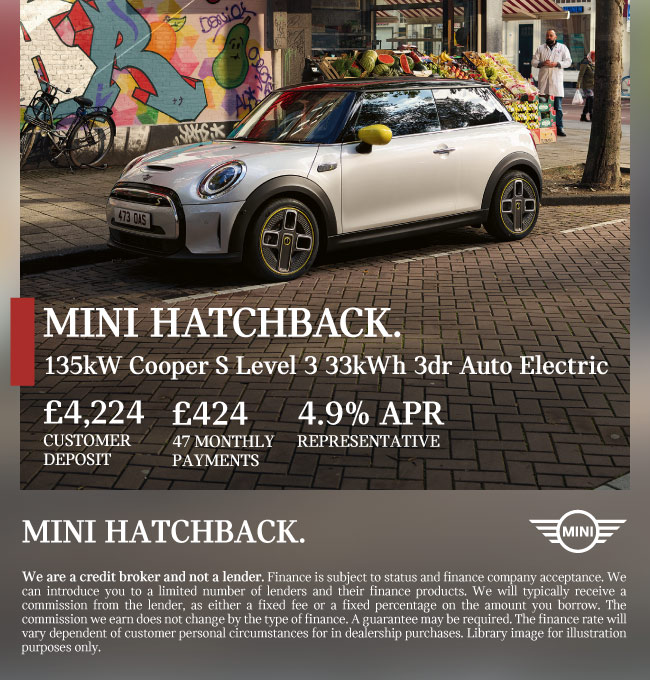 MINI Electric Level 3 140723