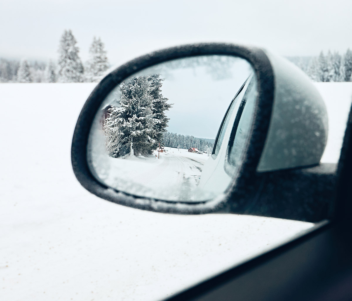 VM Winter Check V2