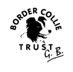 Border Collie Trust UK