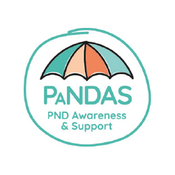 Pandas Foundation