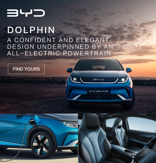 BYD Dolphin Q3 010824