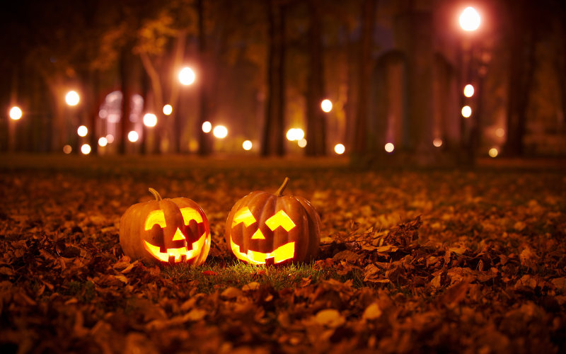 Two illuminated pumpkins in an autumnal park