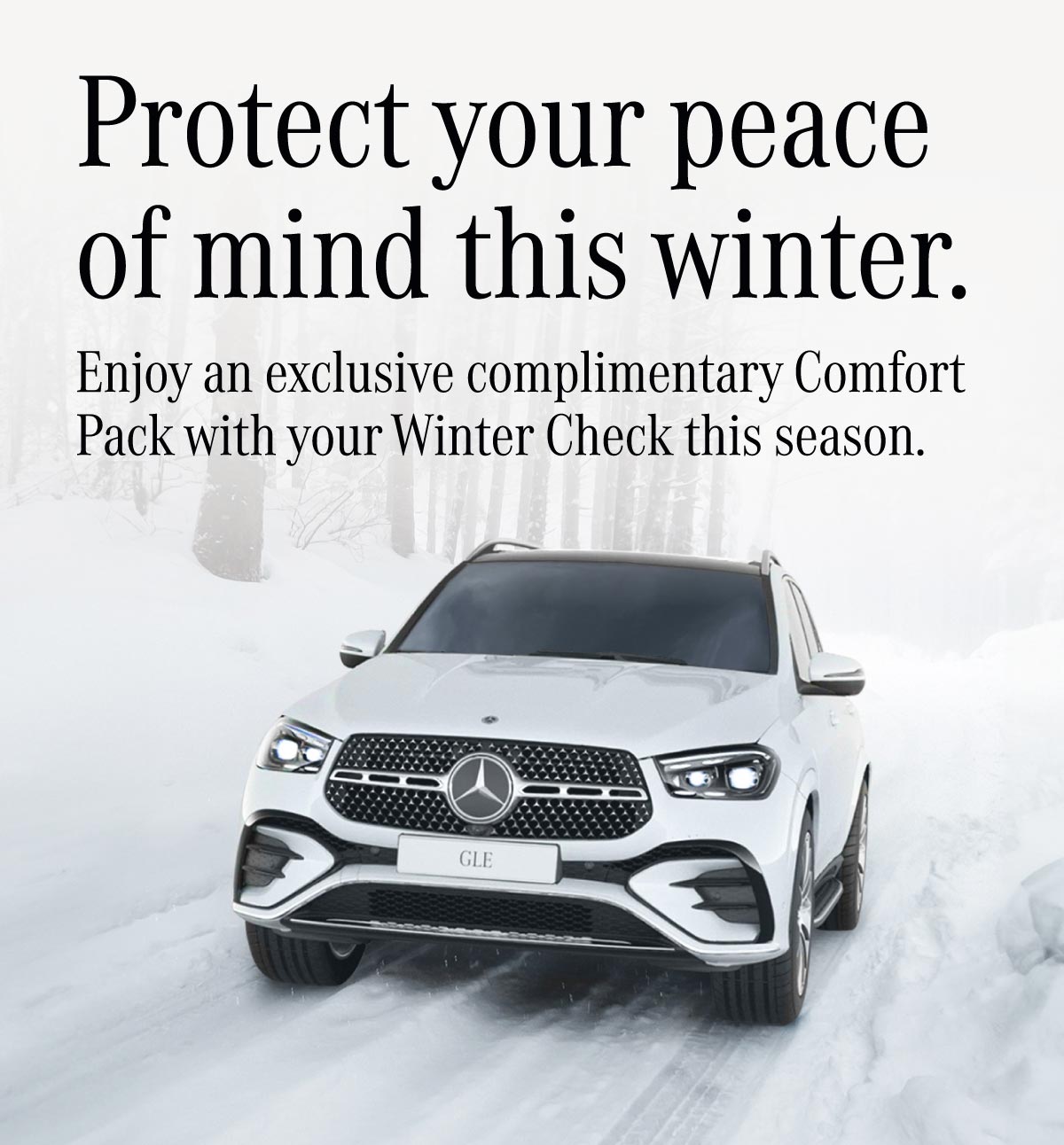 Mercedes Winter Health Check 2024