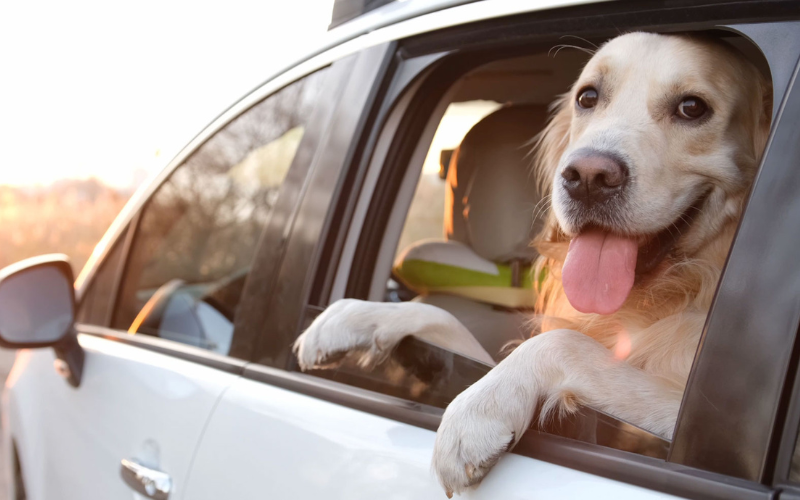 Summer Vehicle Maintenance Tips