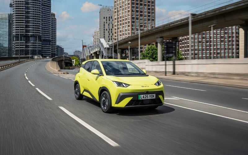 BYD Reacts to Electric Car Grant With Servicing Offer