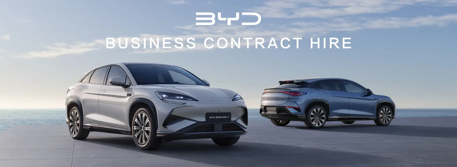 BYD Test