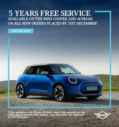 Mini 5 Year Free Service 311025