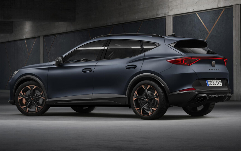 cupra back