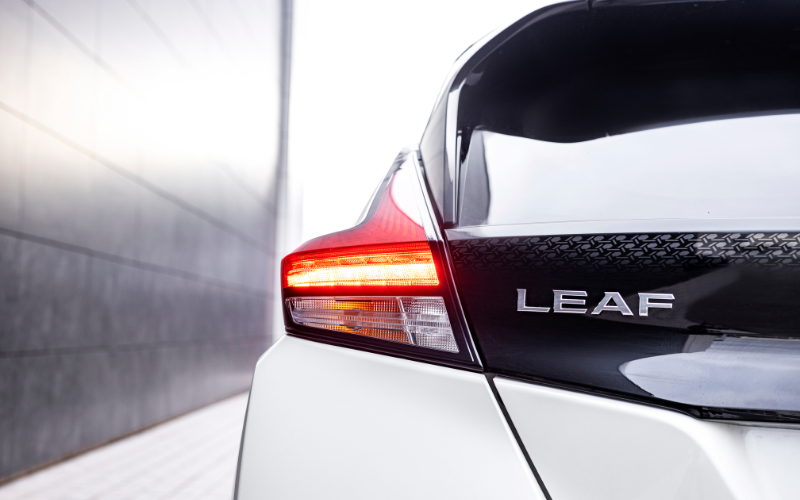 leaf close up