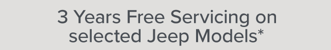 Jeep 3 years servicing 220621